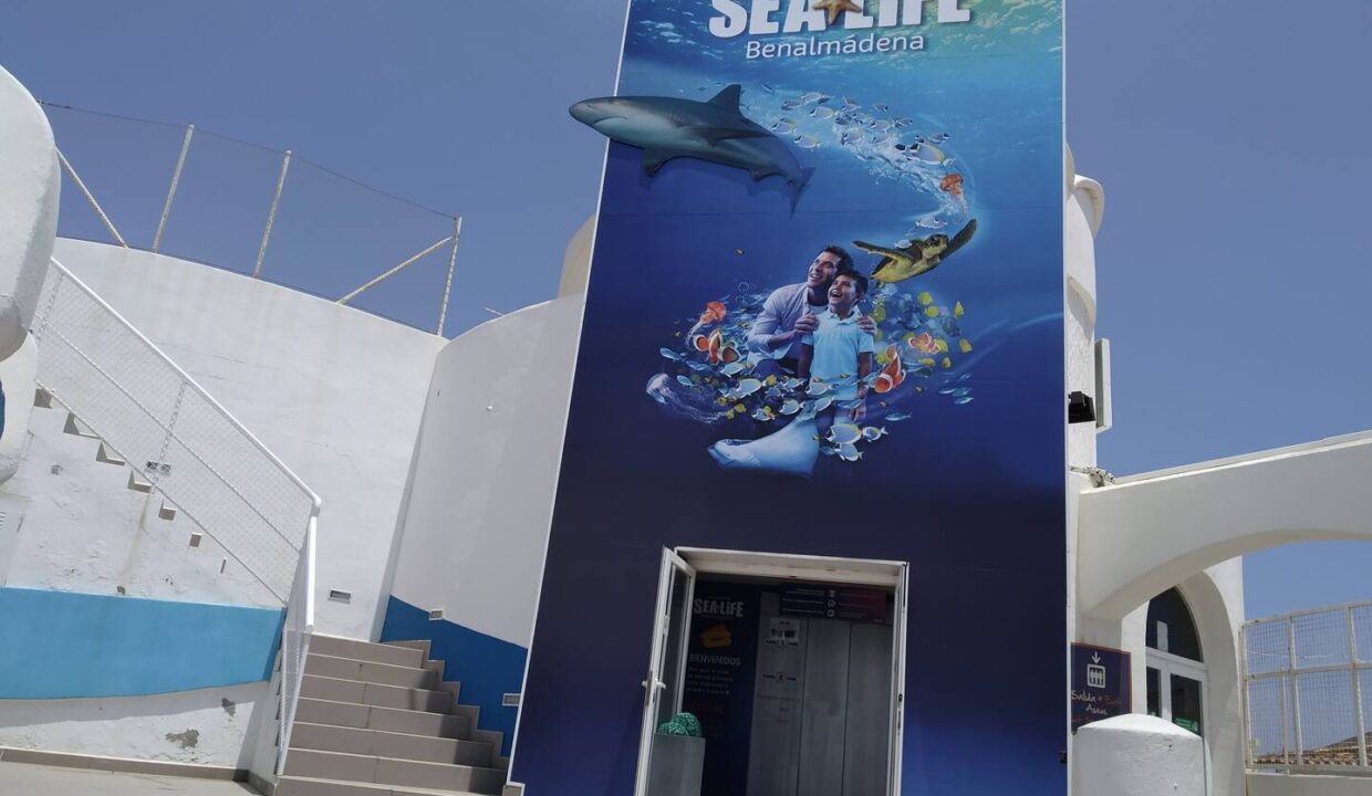 BenalBeach-Site-